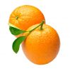 VARIOUS SIZES EGYPTIAN FRESH CITRUS ORANGES WITH HIGH QUALITY and CHEAP PRICES for GLOBAL BUYERS