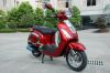 스쿠터 (50cc 125cc 150cc EEC EPA&DOT)