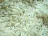 Пшено длиннего риса зерна