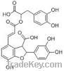 Lithospermic...