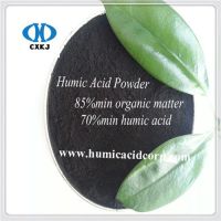 Leonardite 광산에서 Humic 산