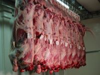 Замороженное мясо говядины, котор замерли мясо коровы или мясо вола