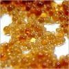 Ion exchange resin