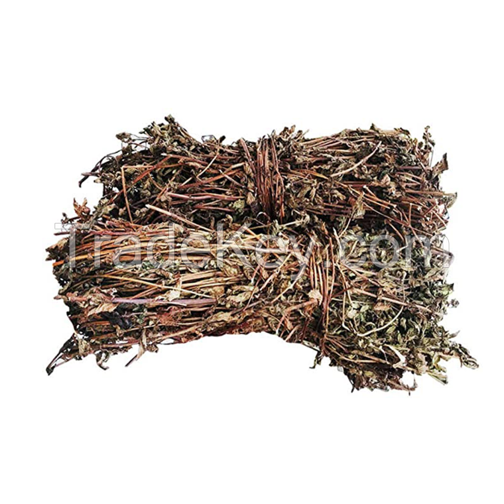 TRADITIONAL DRIED GRASS JELLY / ORGANIC SOURCE / IMMUNE FRIENDLY / ANTIOXIDANT-RICH