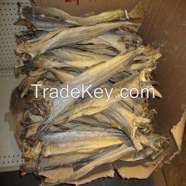 Stockfish of Ling in 45 kg bales.