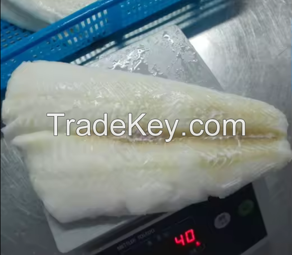 Good Fresh ATF Fish Arrowtooth Flounder Fillet