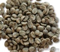 Зеленые кофейные зерна Arabica для сбывания