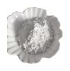 Calcium Carbonate 85% Caco3 Filler Masterbatch With High Quality And Low Price