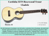 Cordoba 35TS Rosewood Tenor Ukulele