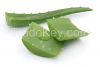 Quality Aloe Vera Frozen Fillet