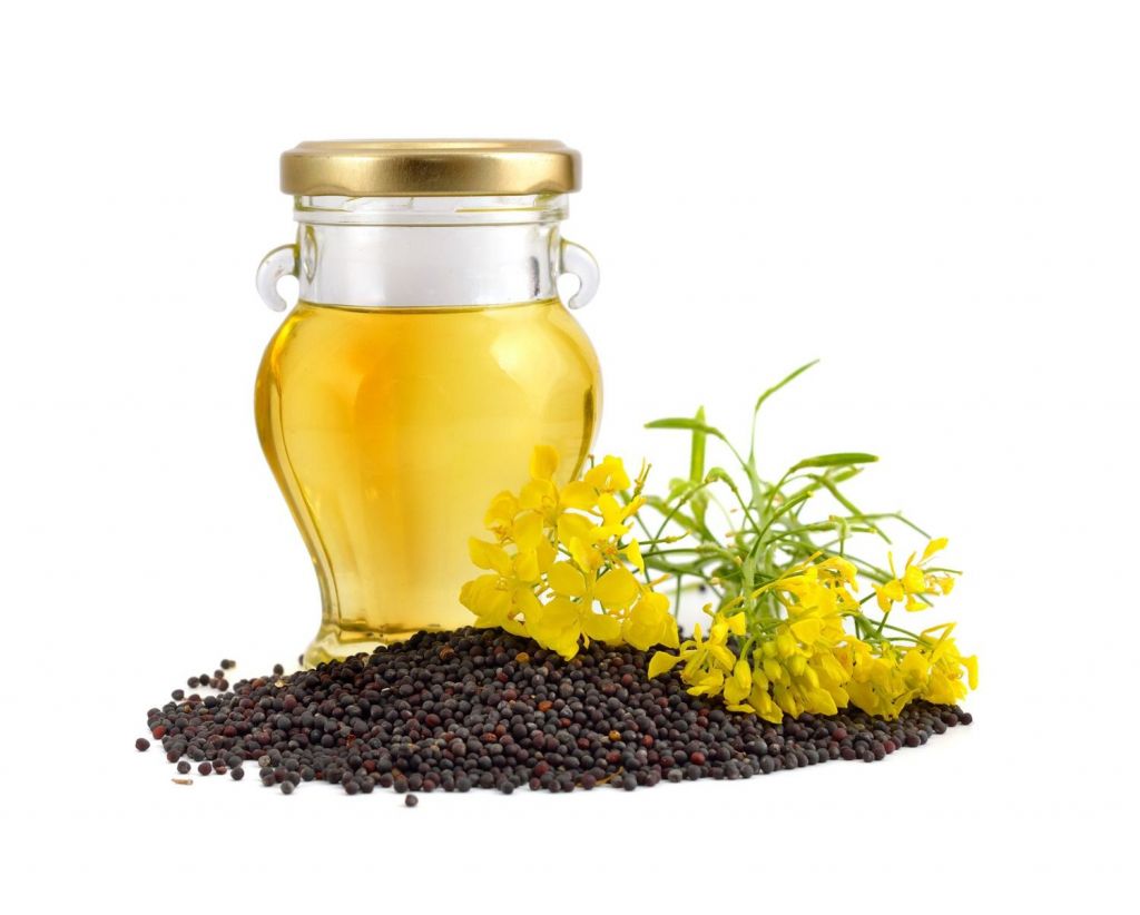 100% Pure RBD Canola Oil â€“ Refined Edible Grade |Bulk Supply at Competitive Wholesale Price