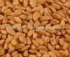 Australian Wheat APH1 Australian Prime Hard wheat APH2 APW1 APW2 Australian Soft wheat ASW1 Durum Wheat AGP Feed whea