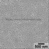 은 Nanoparticles NM-SNP-200