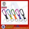 무지개 고품질을 가진 다채로운 제조자 carabiner 간결 방아끈