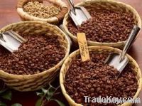 Robusta кофейные зерна