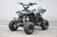 Самое лучшее продавая большое Atv 150cc