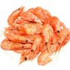 new arrival frozen live frozen prawn/shrimp for sale