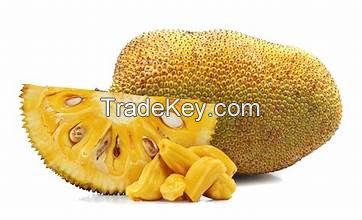 CLEAN LABEL FROZEN JACKFRUIT GOLDEN RIPE QUALITY WITH NATURAL FLAVOR PLANT BASED SUPERFOOD FOR DAILY WELLNESS AND ENERGY