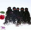 Ideal hair arts Indian hair clip hair extensions double wef