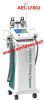 AES-LF802 (Cryolipolysis 뚱뚱한 동결, 진공, 공동현상, RF 의 고주파, 지방 흡입 수술)