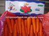 оптовые органические моркови