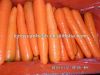 очень вкусная морковь