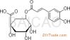 Chlorogenic 산, 순수성 &gt;95%