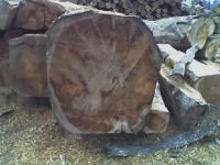 Teak и бананы Teak и бананы