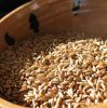 Organic Rye Grains /Organics Certified Organic Rye Berries |5lbs Whole Rye Grains |Great for Breads Wholesale Organic