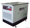 Генератор 1-2000kW газа надувательства