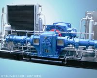компрессор Cng, компрессор природного газа платформы моря