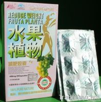 Fruta Planta 체중 감소 캡슐, 환약을 체중을 줄이는 100% 순수한 성격