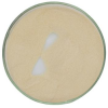 Ã¢ï¿½ï¿½Nisin Powder CAS 1414-45-5 Food Grade Preservative Powder Nisin E234 Nisin