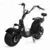 Citycoco electric Scooter with 2000w motor
