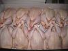 Halal Frozen Whole Chicken / Frozen Chicken Feet / Frozen Chicken Paws