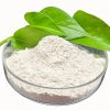 Nano Active Flame Retardant Magnesium Hydroxide Ultrafine Magnesium Oxide Industrial Grade Spot Flame Retardant