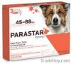 Parastar