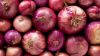 Red Onions 