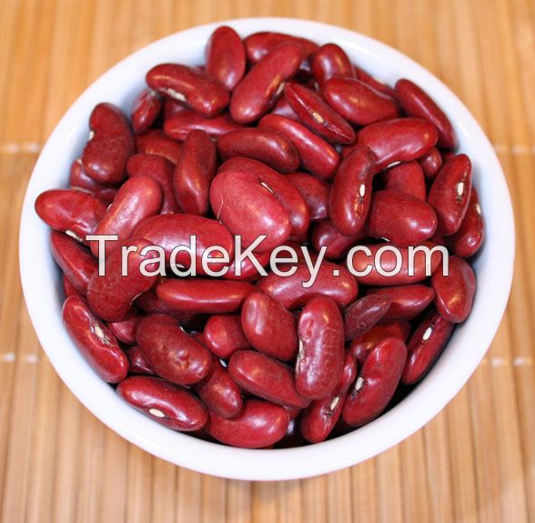 Premium Quality RED Kidney Bean For Sale