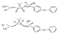 Lambda Cyhalothrin