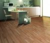 Laminate Floor