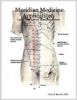 Laser Therapy Applications with Meridians