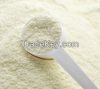 Milk Powder