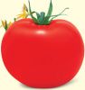красный цвет гибридного томата сем-Американский супер