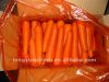 свежая малая морковь китайца размера