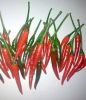 Chilies