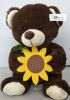 Teddy bear plush toys soft plush toys certified plush toys manufacturer