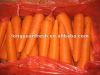 консигнант моркови