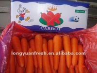 новая морковь урожая 316