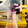 Premium Quality Gasoline for Automotive and Industrial Use